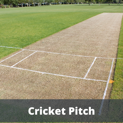 Cricket Pitch