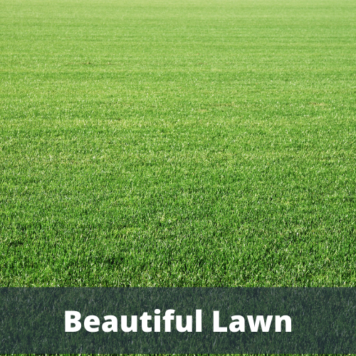 walking lawn